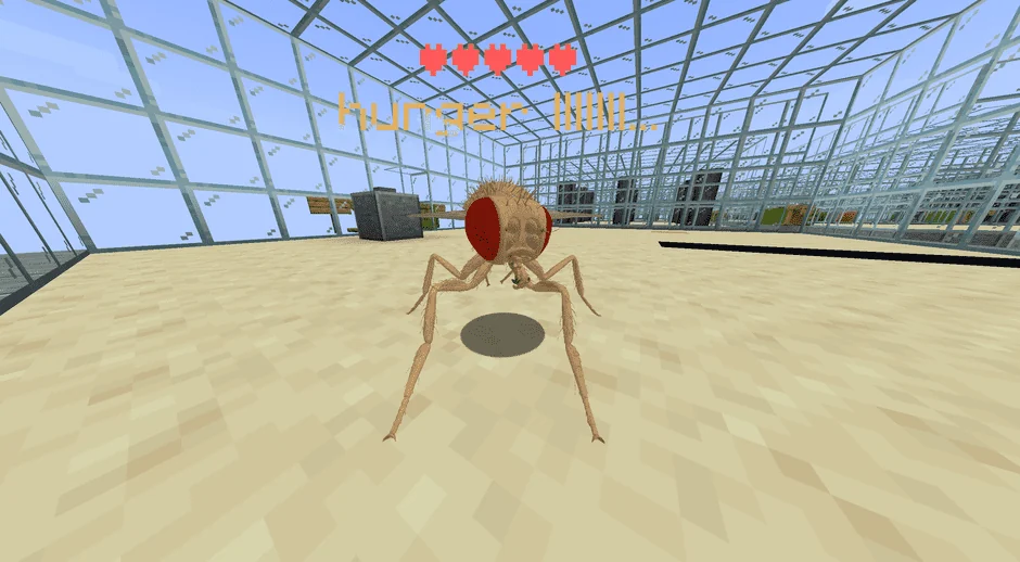 The fly inside one of the glass boxes in daylight
