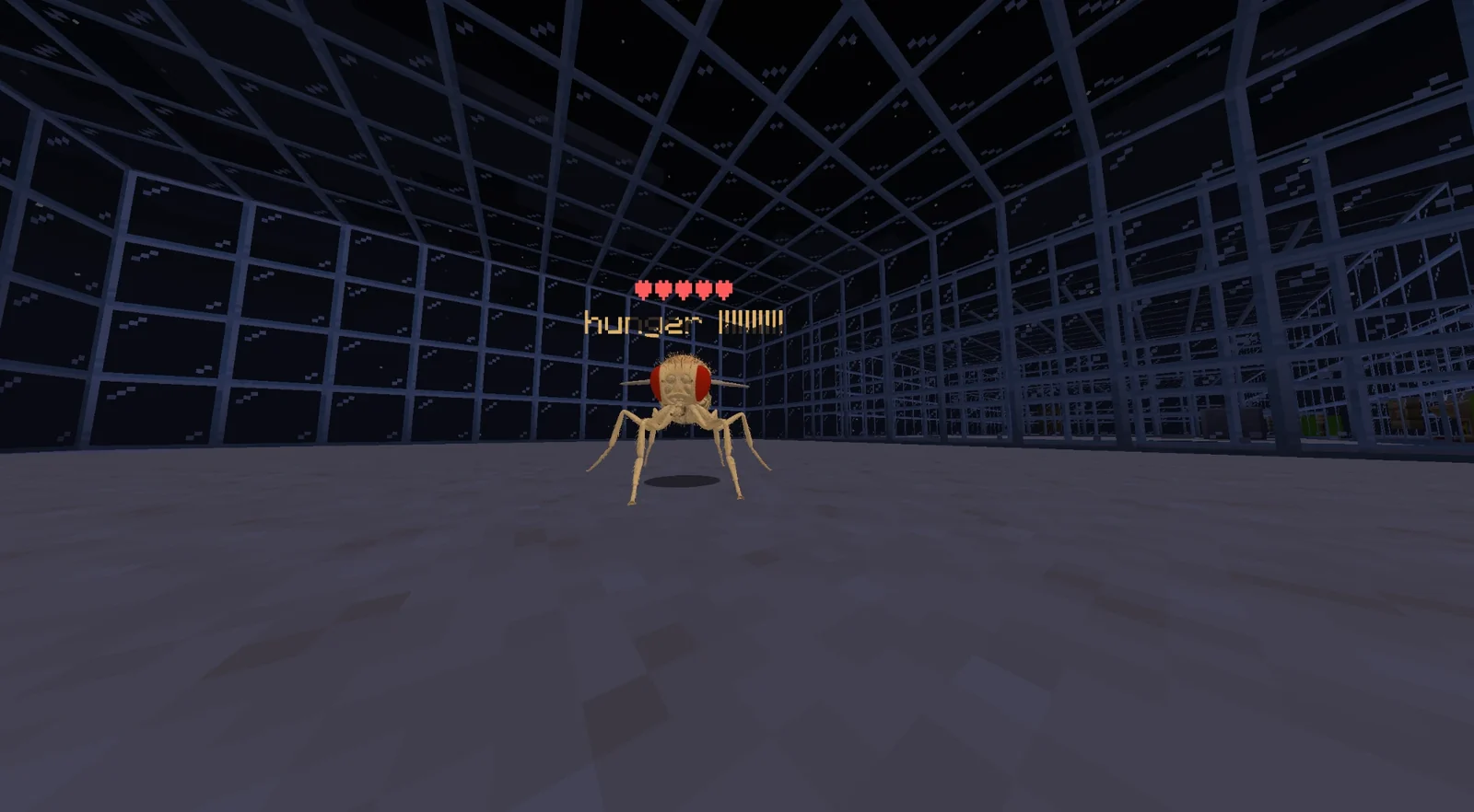 The fly standing in a glass test box at night